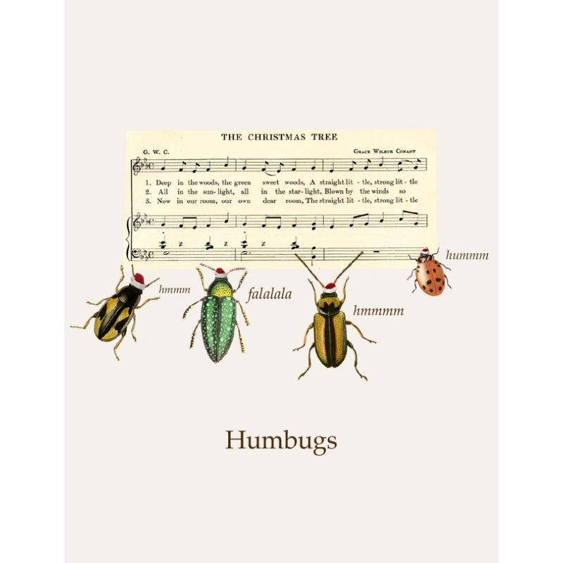 Notes Humbugs - Coming Autumn 2025