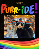 Black cat wearing a rainbow hat with 'Happy Purr-iDE!' text and rainbow border.