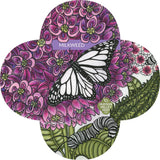 Seeds packet with butterfly design and 'Milkweed' branding on a white background