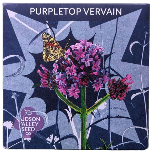 Purpletop Vervain - Art Seed Packs