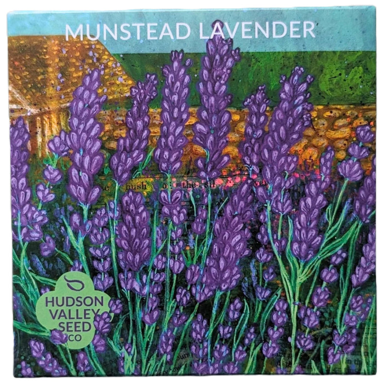 Munstead Lavender - Art Seed Packs