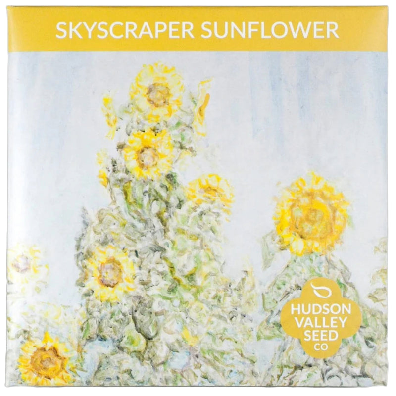 Skyscraper Sunflower - Art Seed Packs