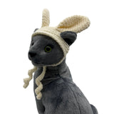 Gray cat wearing a knitted hat with ears on a white background