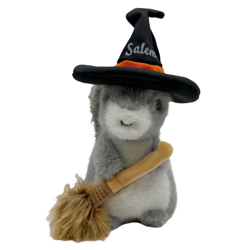 Squirrel with Witch Hat Salem Edition – PEM Shop