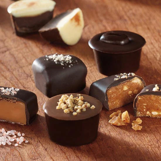 Salt & Ayre 16 Assorted