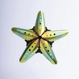 Starfish-shaped object with a gradient of green and yellow on a light gray background
