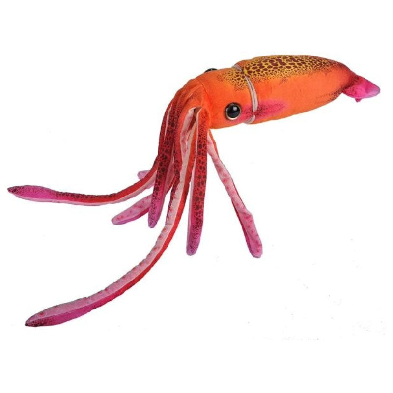 Squid Orange