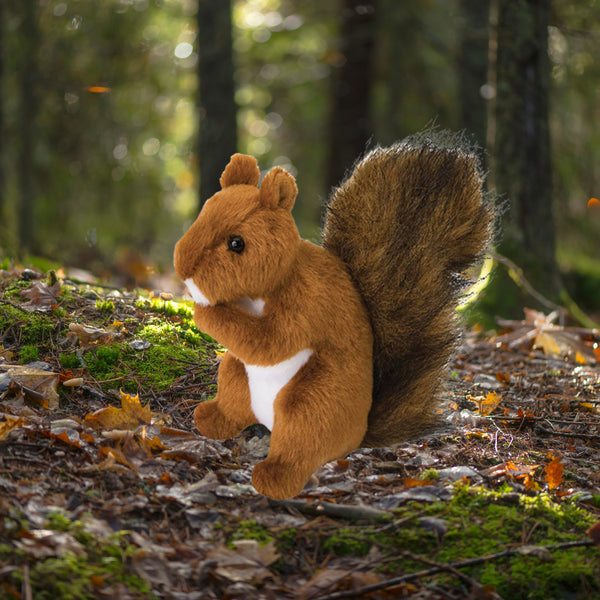 Roadie Red Squirrel