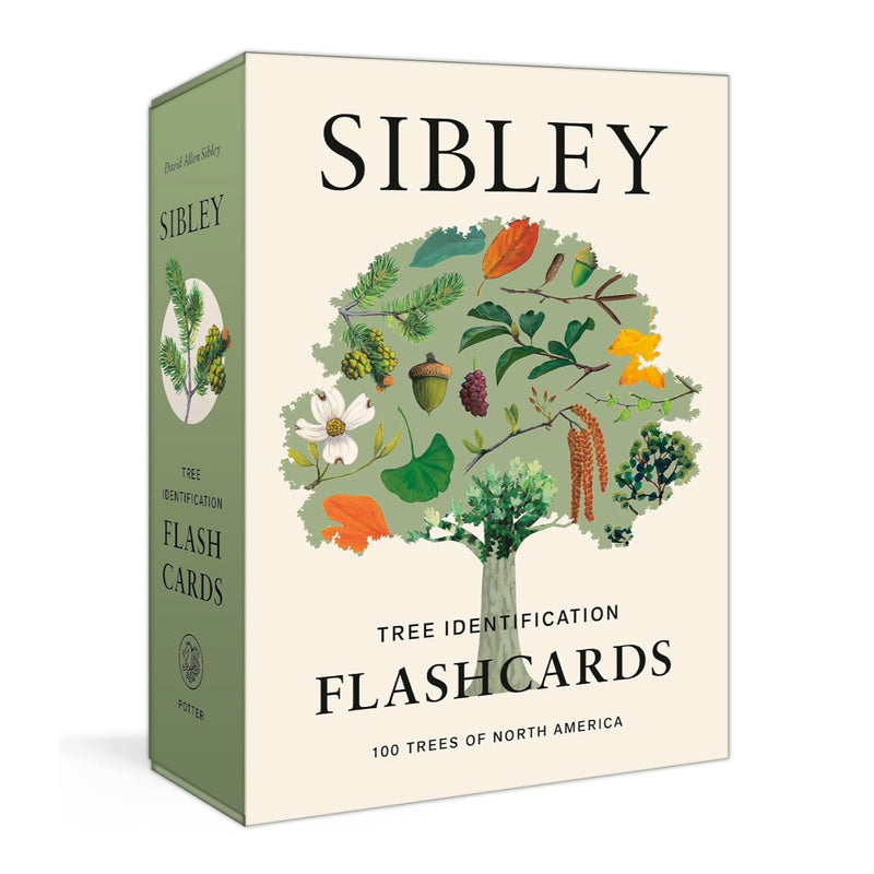 Sibley Tree Identification Flashcards