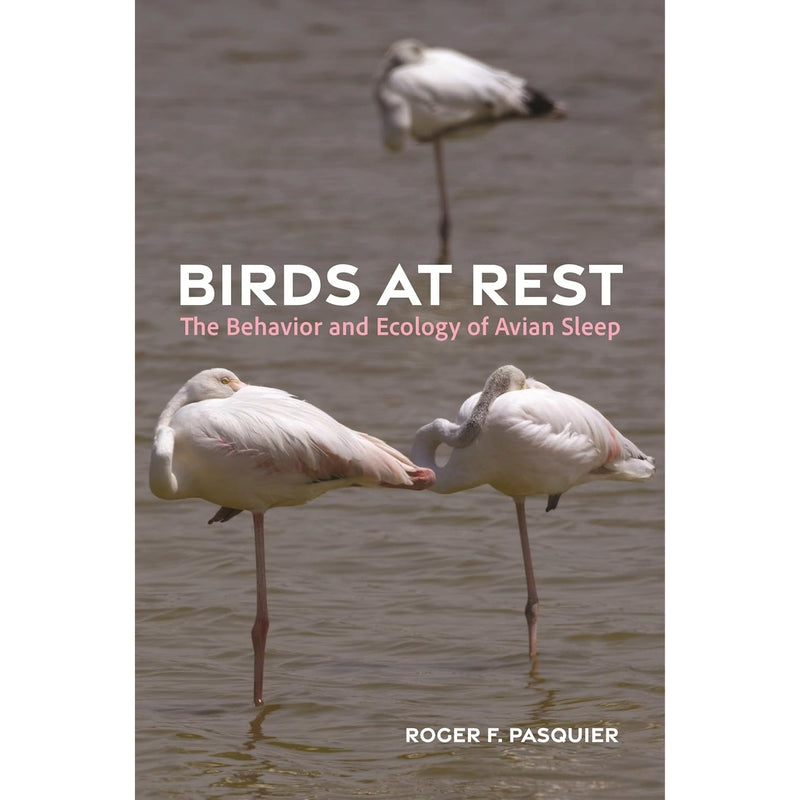 Birds at Rest: The Behavior and Ecology of Avian Sleep