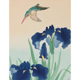 Illustration of a bird flying over blue flowers on a beige background