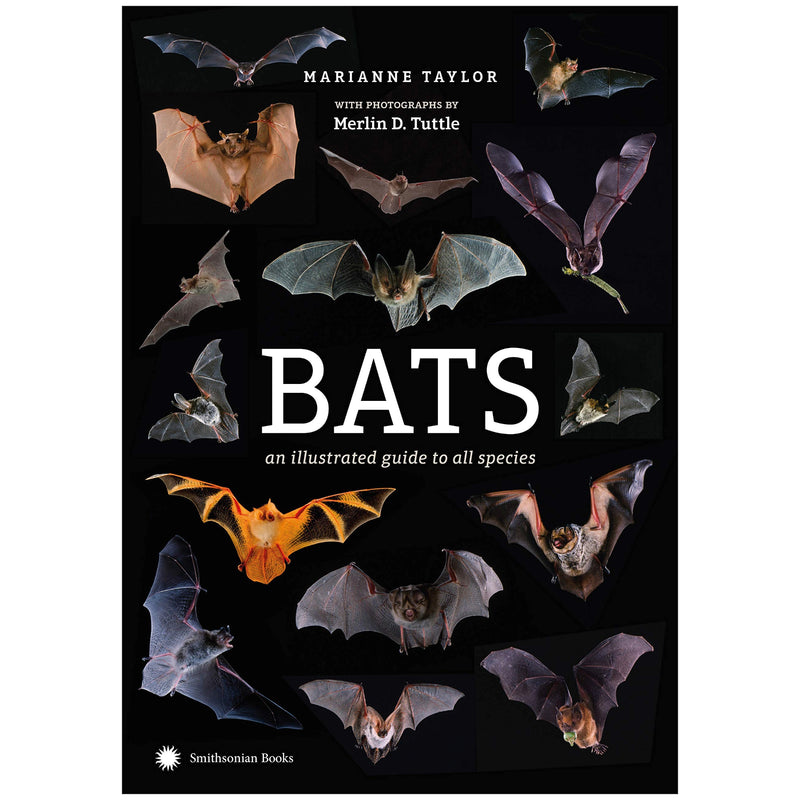 Bats: An Illustrated Guide