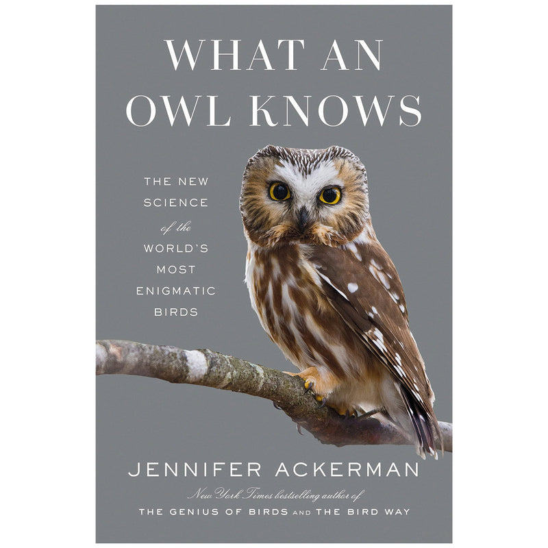 What an Owl Knows