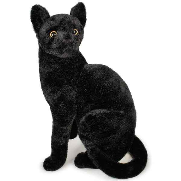 Boone The Black Cat 13