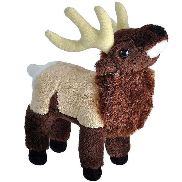 Wild Calls - Elk
