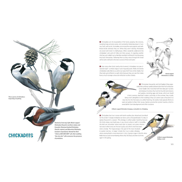 What It's Like to Be a Bird (Adapted for Young Readers): From Flying to Nesting, Eating to Singing--What Birds Are Doing and Why