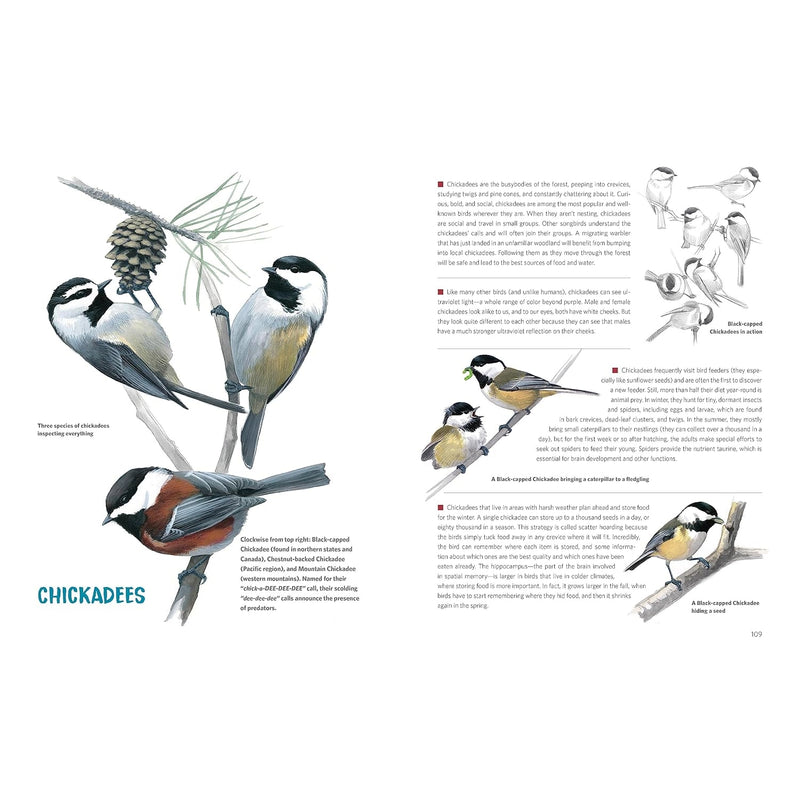 What It's Like to Be a Bird (Adapted for Young Readers): From Flying to Nesting, Eating to Singing--What Birds Are Doing and Why