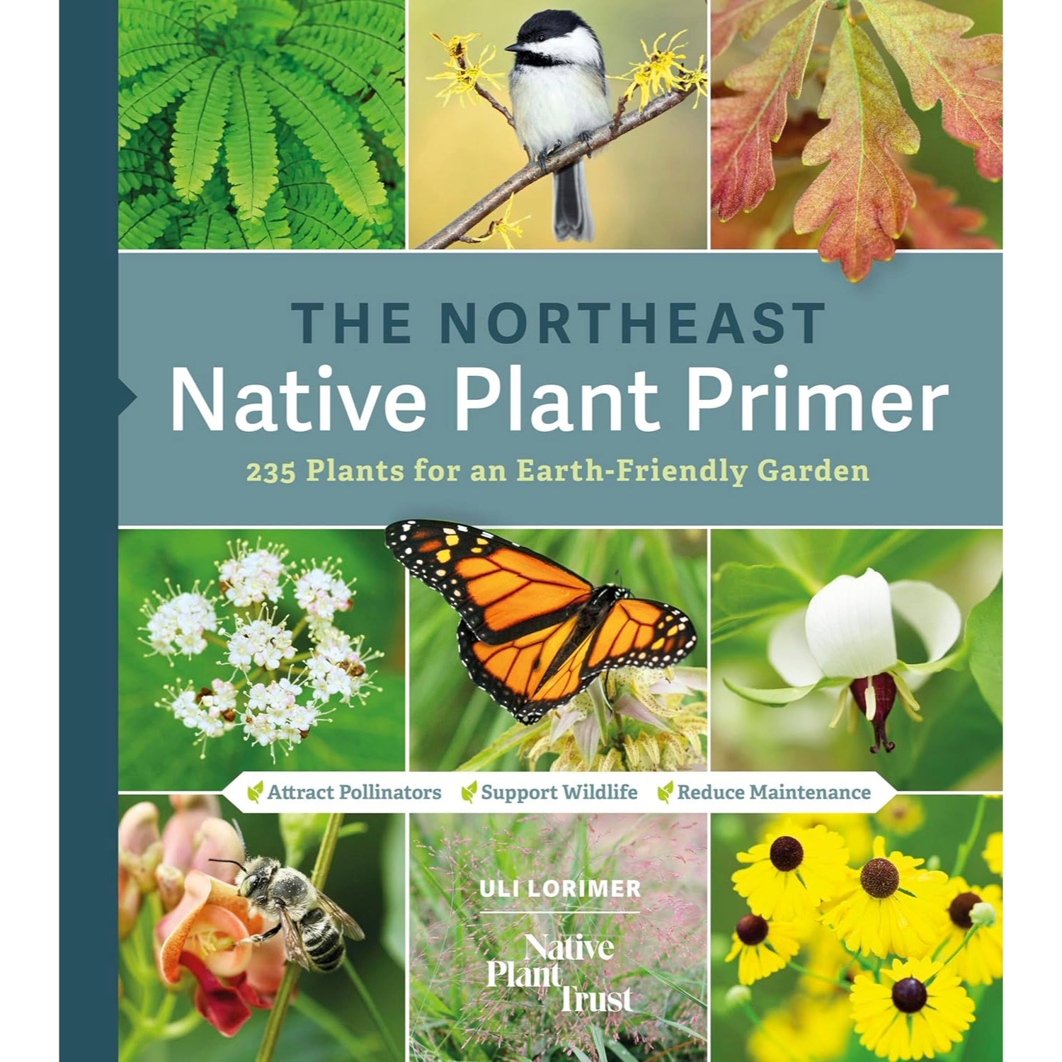 Northeast Native Plant Primer – PEM Shop