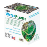 A boxed product labeled 'MINI WATERPLANTS' by Unique Gardener, shown at a slight angle on a plain white background. The package is white with blue and green text and includes a photo of a small aquascape setup inside the box.