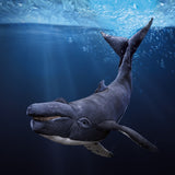 Whale underwater with sunlight filtering through the water