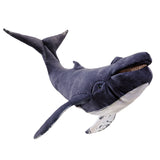 Plush toy whale on a white background