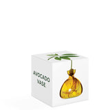 Avocado Vase