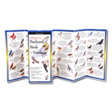 A folded booklet titled "Sibley's Backyard Birds of the Northeast," shown open to display multiple illustrated bird pages with blue borders and white backgrounds on a light gray studio background.