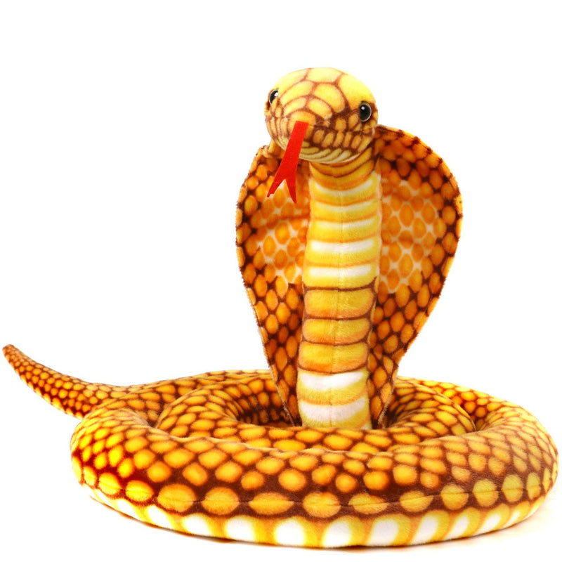 Qamra The Queen Cobra