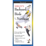 Sibley's Backyard Birds of the Northeast guidebook cover, featuring illustrations of various birds on a white background with a blue border and yellow side accents.