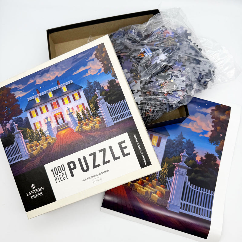 Puzzle box with a house illustration and scattered puzzle pieces on a white background