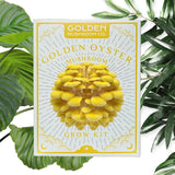 Golden Oyster Mushroom Grow Kit - Coming Autumn 2025