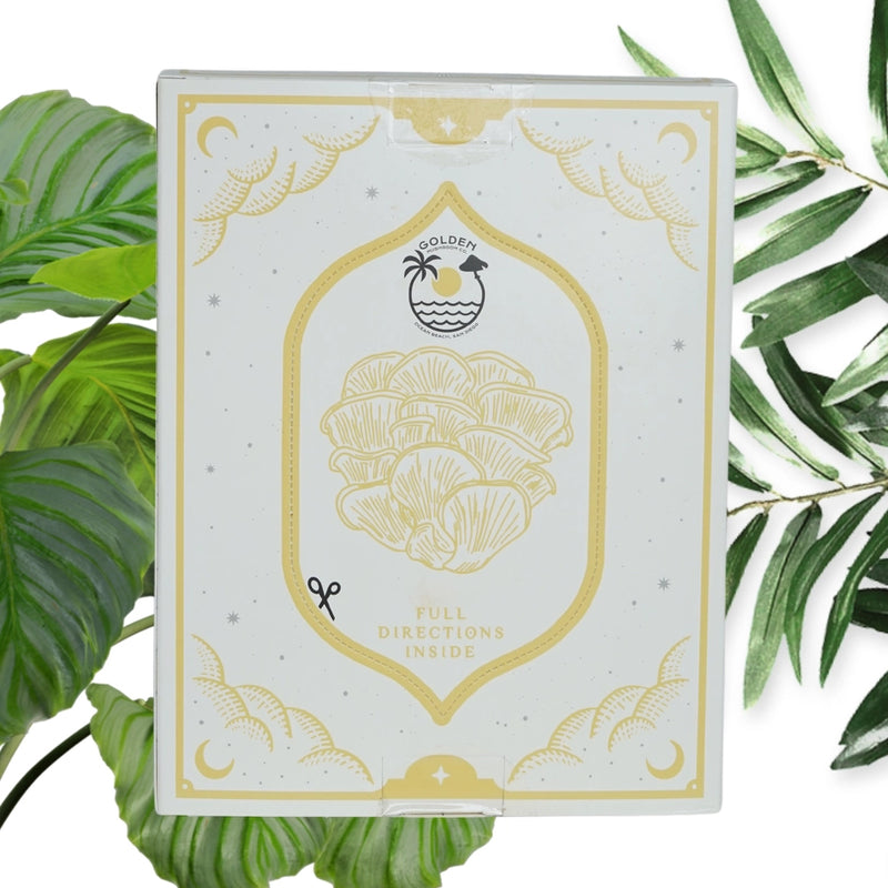 Golden Oyster Mushroom Grow Kit - Coming Autumn 2025