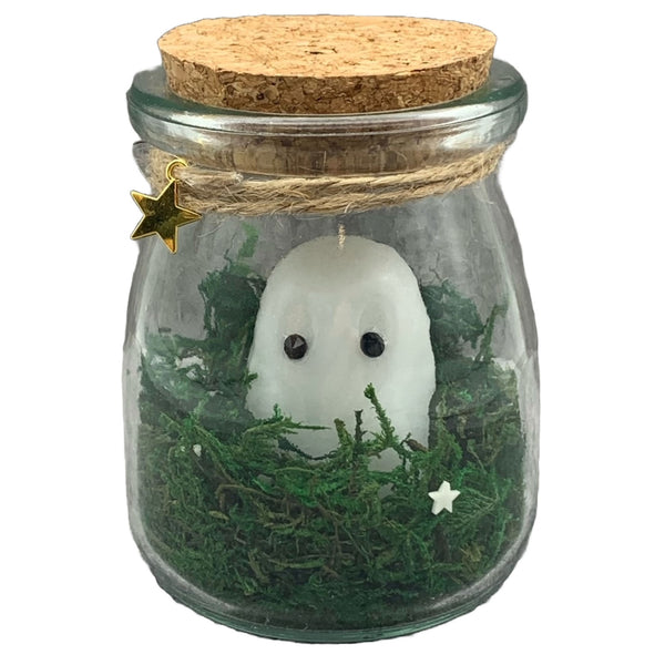 Pet Ghost in a Bottle - Glow in the dark