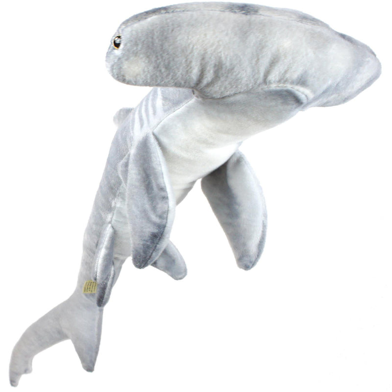 MC The Hammerhead Shark