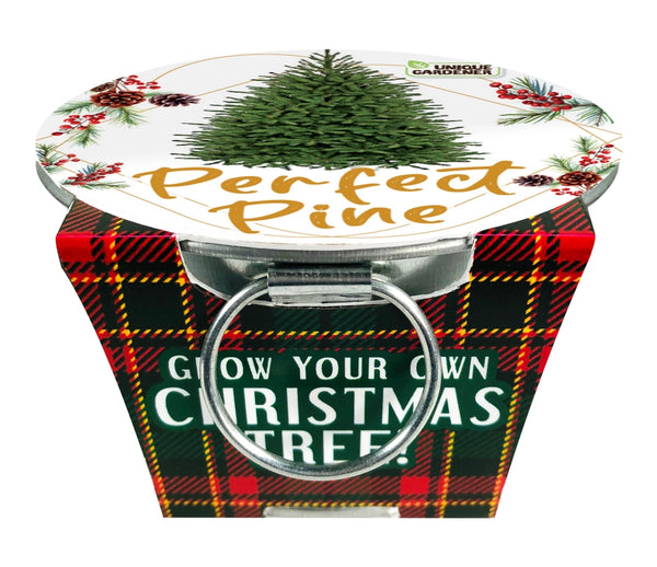 Perfect Pines - Grow Your Own Christmas Tree