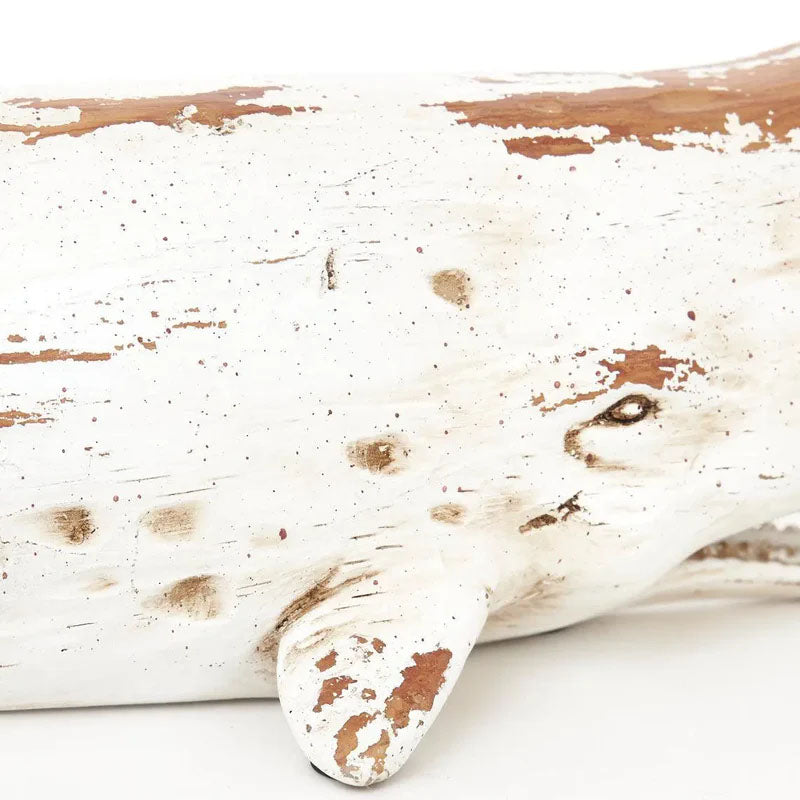 White Sperm Whale in Aged Resin