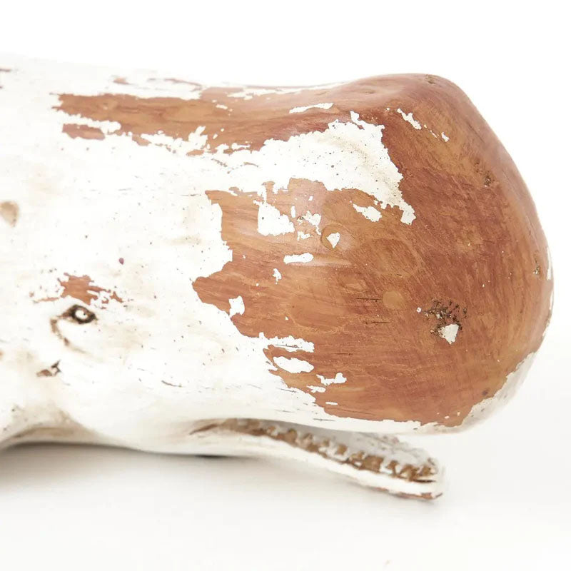 White Sperm Whale in Aged Resin