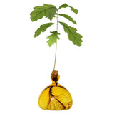 Acorn Vase - Coming Soon!