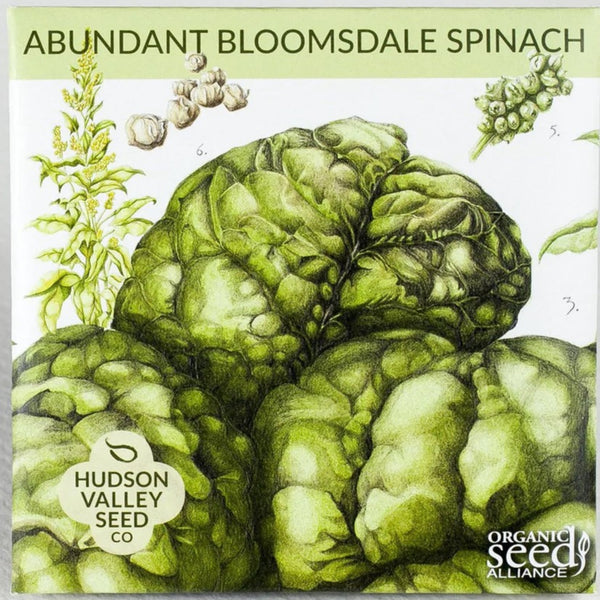 Abundant Bloomsdale Spinach - Art Seed Packs