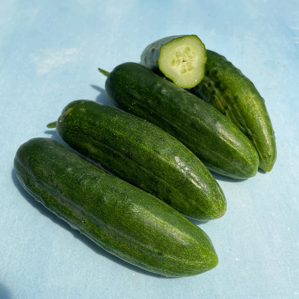 Ukrainian Slicing Cucumber - Art Seed Packs