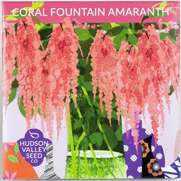Coral Fountain Amaranth - Art Seed Packs