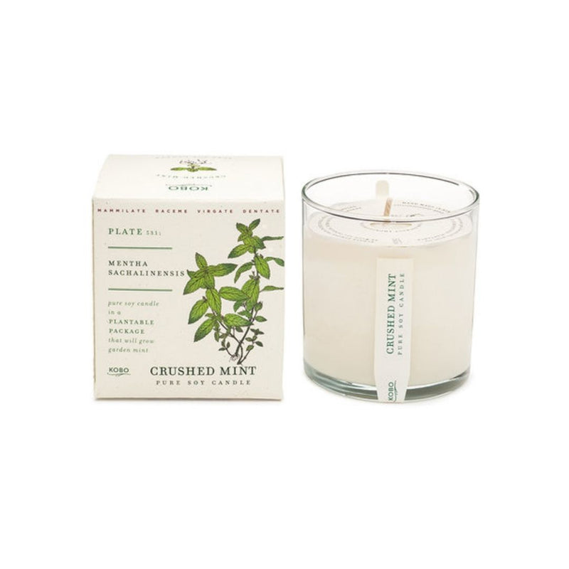 Crushed Mint - Plant The Box Candle
