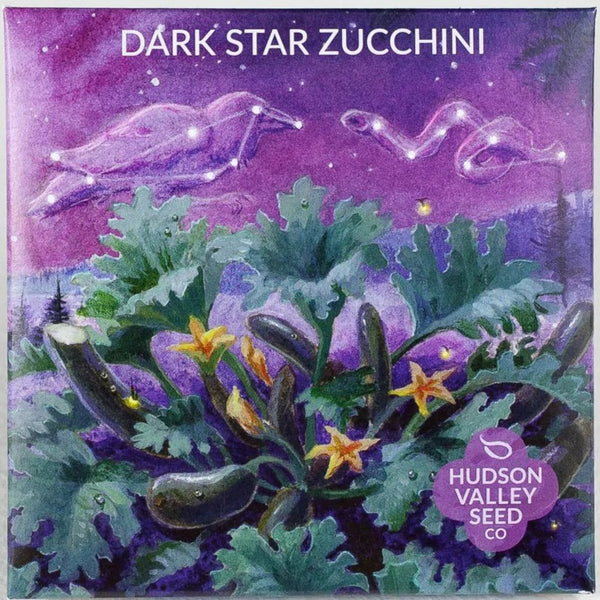 Dark Star Zucchini - Art Seed Packs