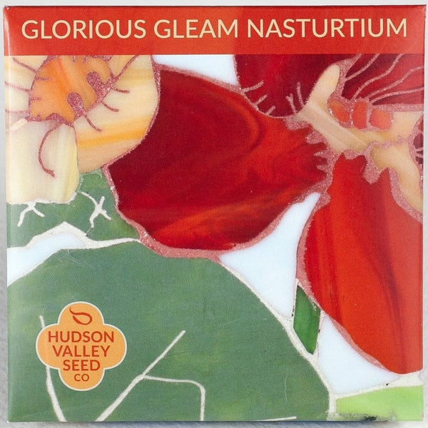 Glorious Gleam Nasturtium - Art Seed Packs
