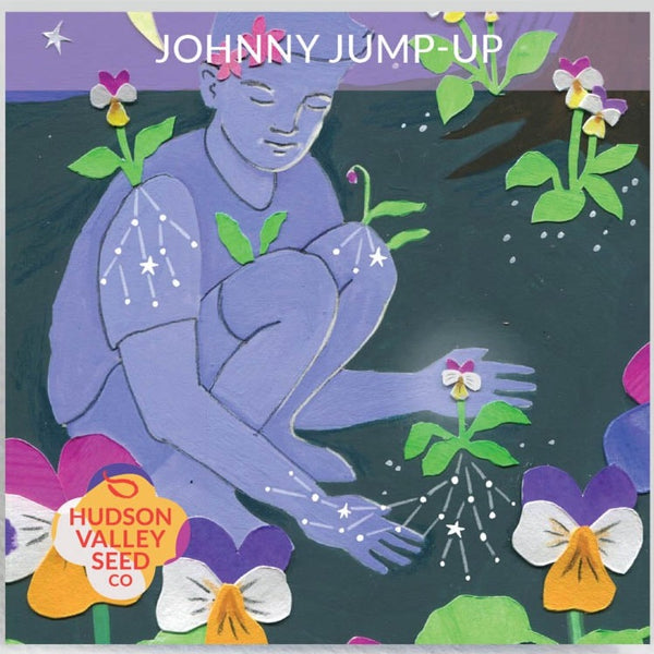 Johnny Jump Up - Art Seed Packs