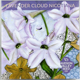 Lavender Cloud Nicotiana - Art Seed Packs