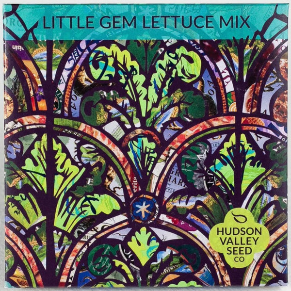 Little Gem Lettuce Mix - Art Seed Packs