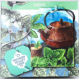 Mint - Art Seed Packs
