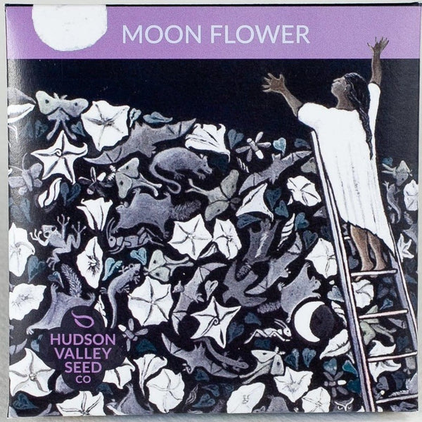 Moon Flower - Art Seed Packs