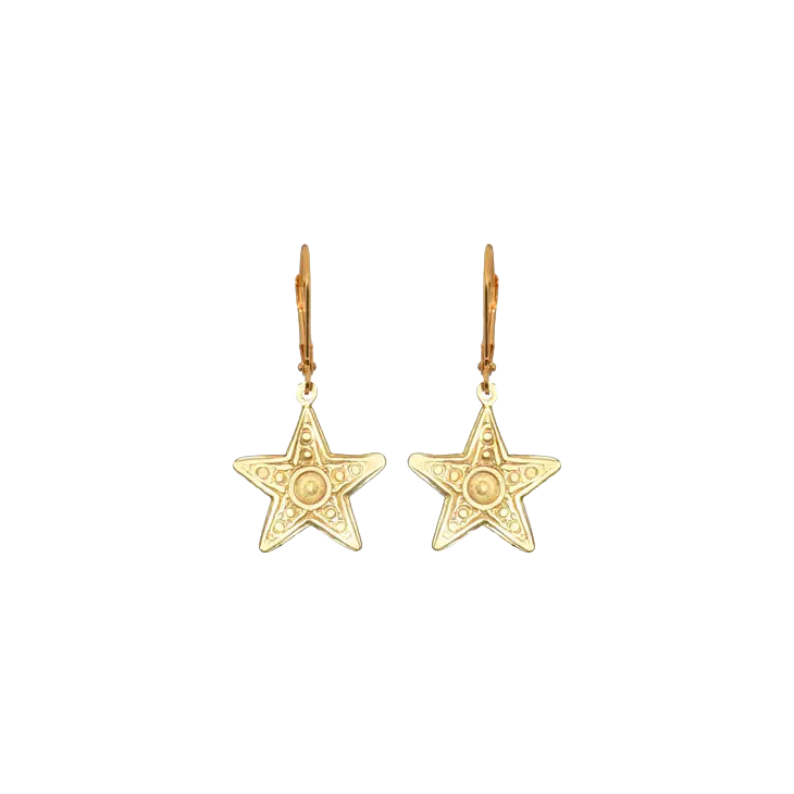 Earrings - Small Star